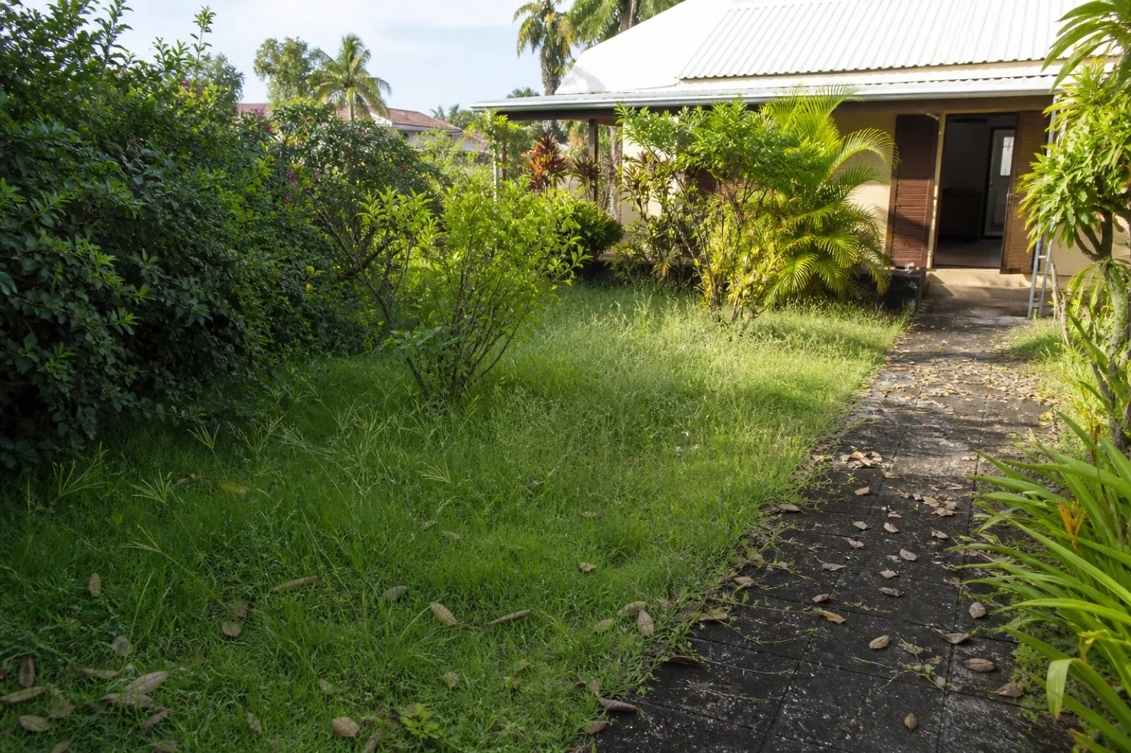 Jardin avant l’entretien