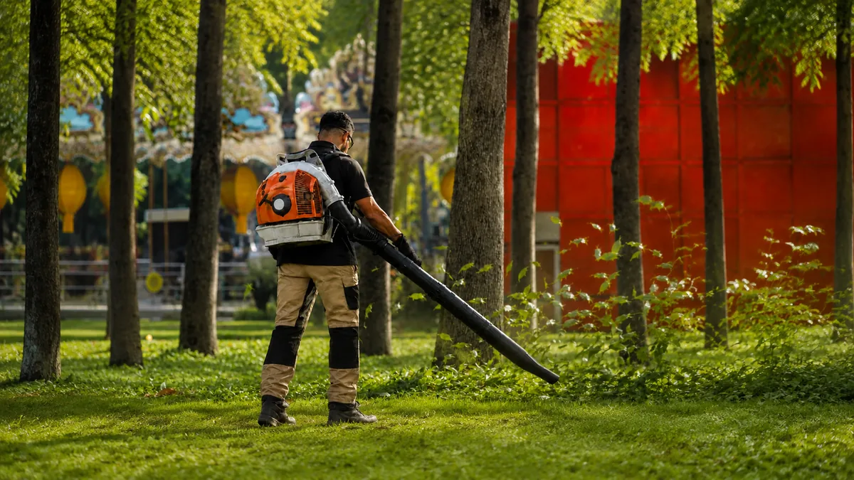 Intervention professionnelle d’entretien d’un arbre